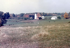 The farm 1963